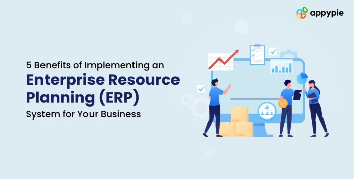 Benefits of implementing an ERP system in your business