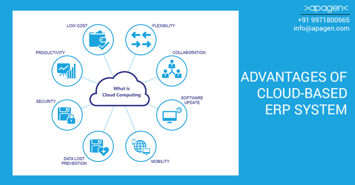 The benefits of using cloud-based ERP apps