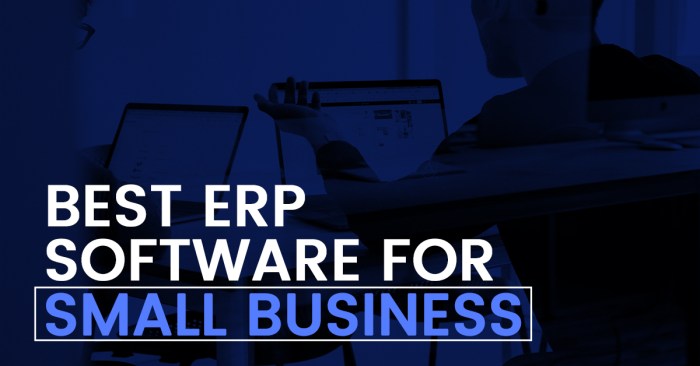 Erp software smb predictiveanalyticstoday