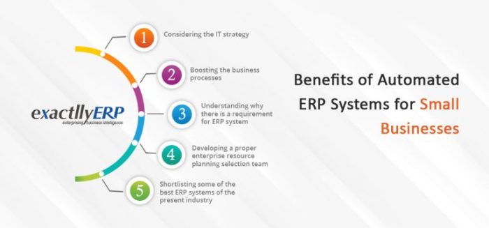 What are the key benefits of using an ERP system for small businesses