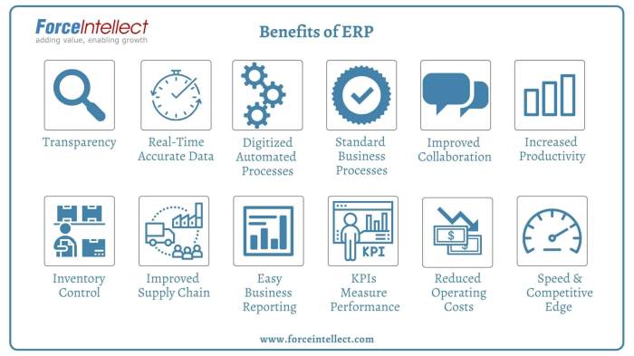 Erp benefits systems