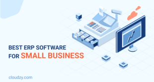 ERP for small businesses with low budget