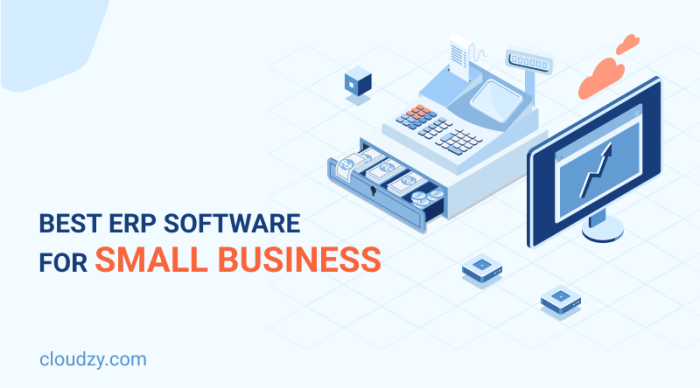 ERP apps for small businesses with limited budgets