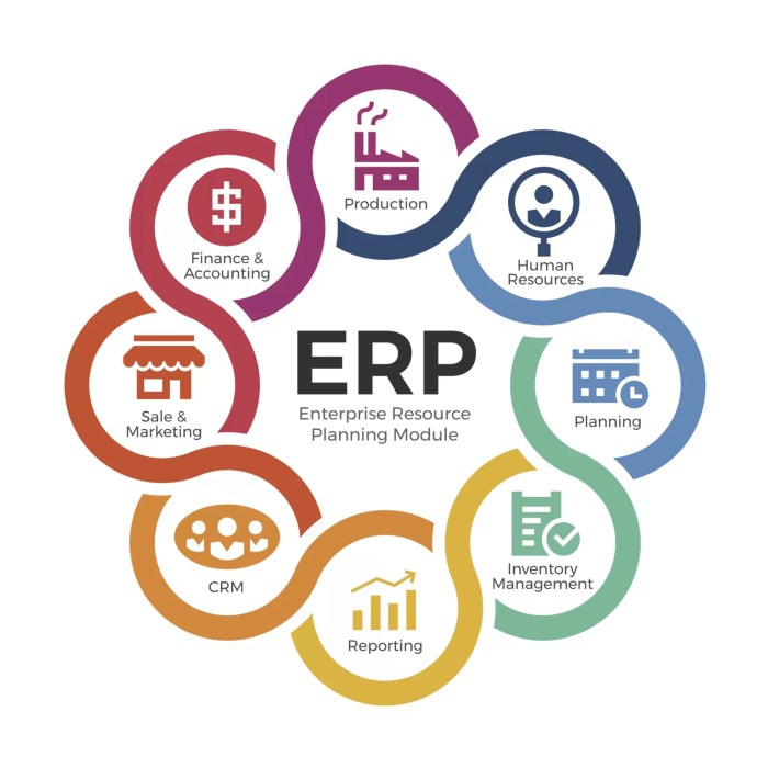 Integrating ERP apps with existing business systems