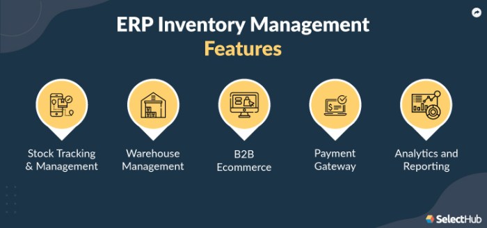 ERP apps for improving inventory management and supply chain efficiency