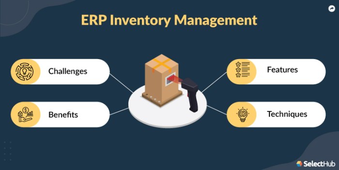 ERP apps for improving inventory management and supply chain efficiency