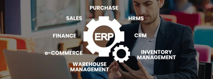 Integrating ERP apps with existing business systems