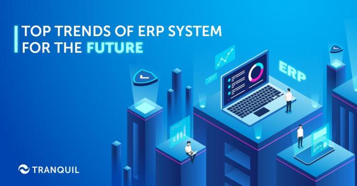 The future of ERP software and emerging trends