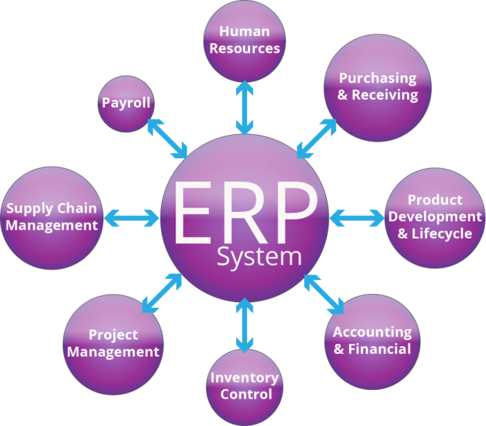 ERP systems for retail businesses