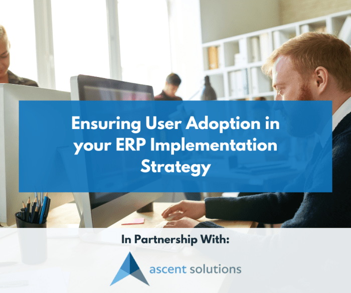 How to ensure successful user adoption of ERP software