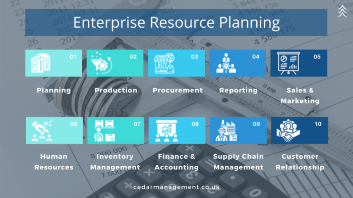 ERP for service industries