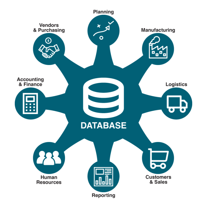 The impact of ERP on financial reporting and data accuracy