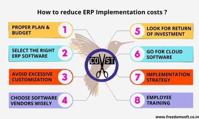 ERP implementation costs and ROI