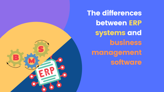 ERP integration with other business applications