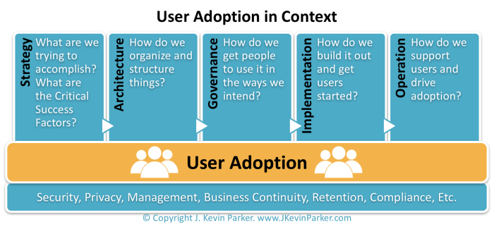 Erp adoption successful generation software tips user next three