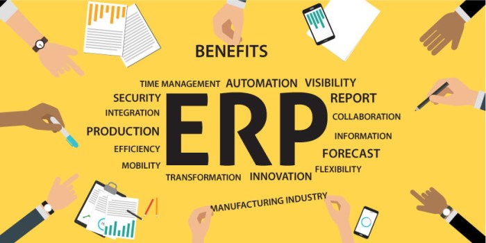 Erp enterprise integrated pharma sistem unui unic evitarea și lucrările fapt permite pierderea informațiilor conform