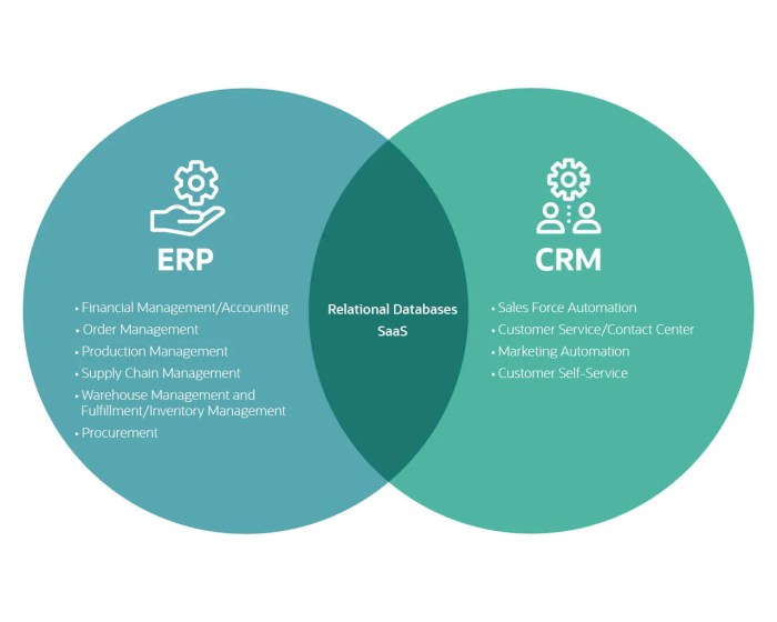 Crm erp insight