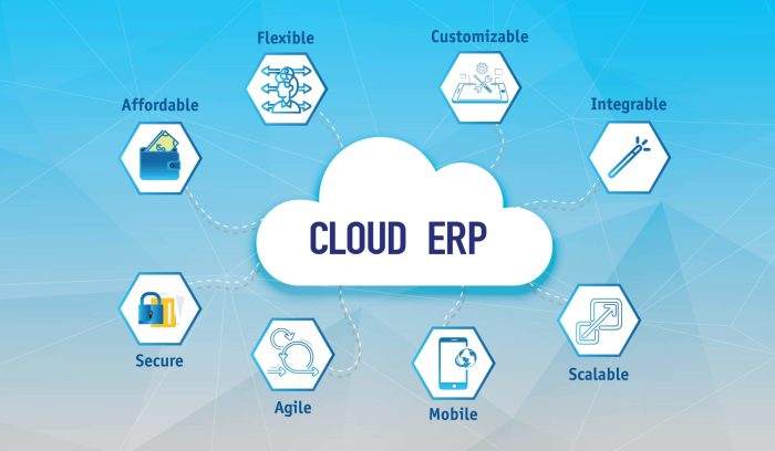 The role of cloud-based ERP software in business growth