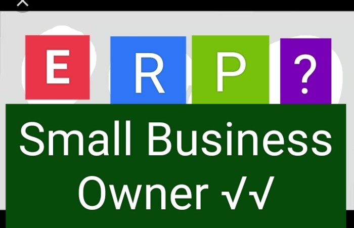 ERP apps for small businesses with limited budgets