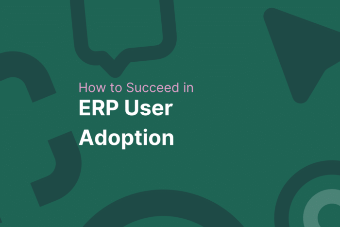 How to ensure successful user adoption of ERP software