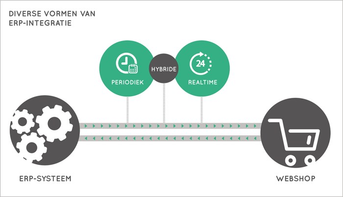 ERP integration with other business applications