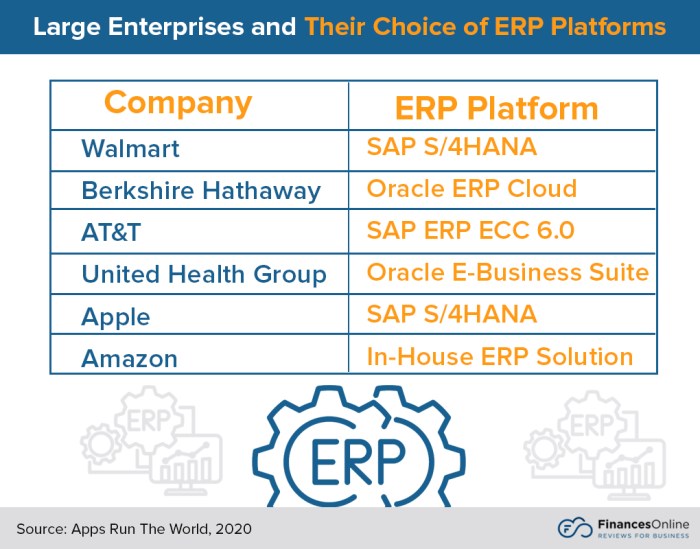 ERP software for businesses with international operations