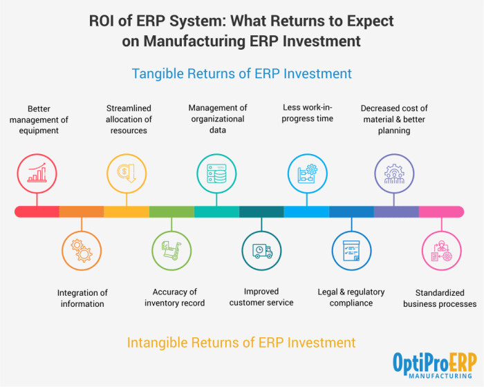 ERP implementation costs and ROI