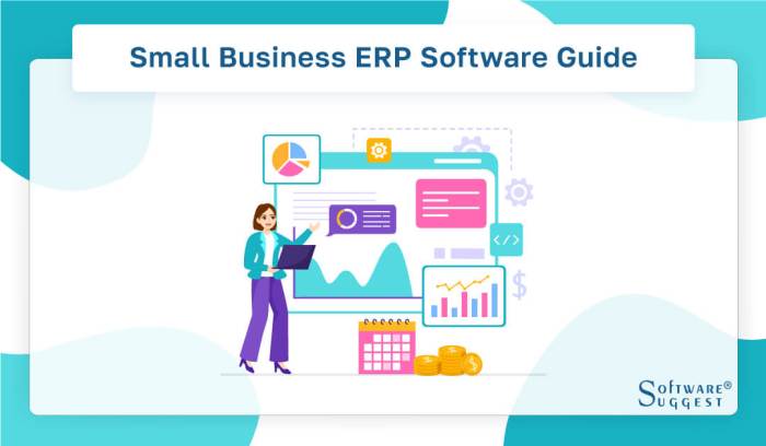 ERP for small businesses with low budget