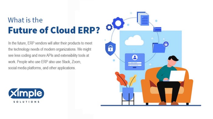 The future of ERP software